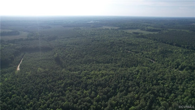 N/A Nary Ln, Disputanta, VA 23842 - photo 9