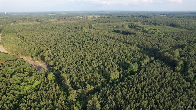 N/A Nary Ln, Disputanta, VA 23842 - photo 10
