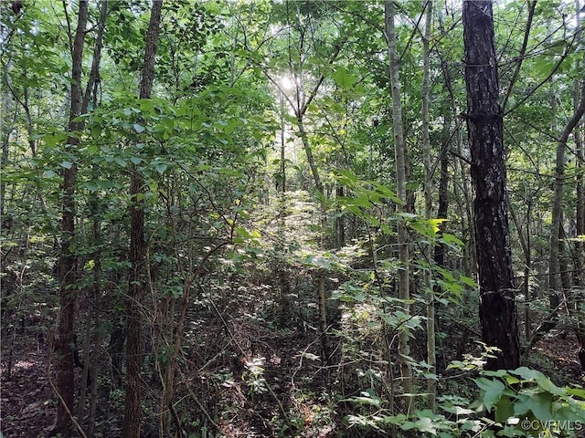 N/A Nary Ln, Disputanta, VA 23842 - photo 12