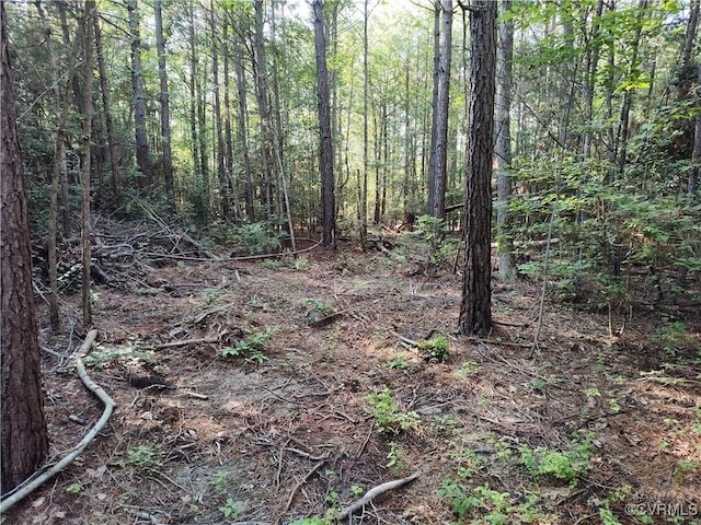 N/A Nary Ln, Disputanta, VA 23842 - photo 13