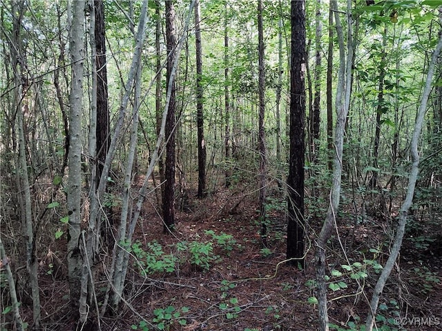 N/A Nary Ln, Disputanta, VA 23842 - photo 14