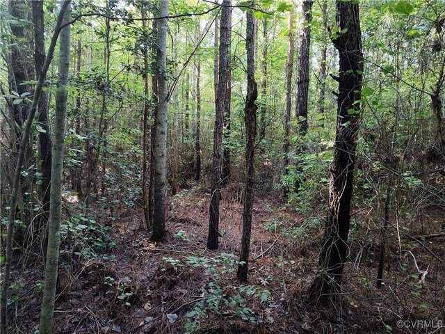 N/A Nary Ln, Disputanta, VA 23842 - photo 15