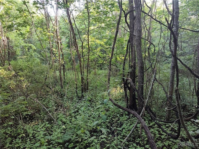 N/A Nary Ln, Disputanta, VA 23842 - photo 16