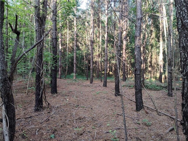 N/A Nary Ln, Disputanta, VA 23842 - photo 18