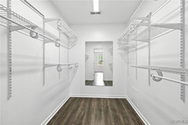 11918 Hazelnut Branch Ter, Midlothian, VA 23112 - spacious closet featuring wood finished floors