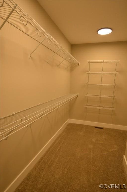 5102 Front Dr, North Dinwiddie, VA 23803 - walk in closet featuring carpet