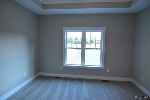 5104 Front Dr, North Dinwiddie, VA 23803 - carpeted empty room featuring plenty of natural light
