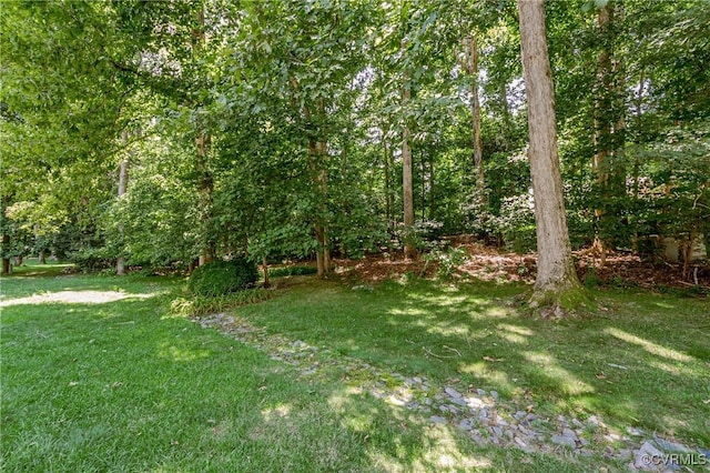 4320 Dunraven Rd, Chesterfield, VA 23236 - view of green lawn featuring a view of trees
