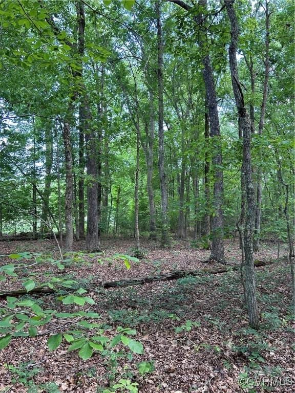00 Maidens Rd, Maidens, VA 23102