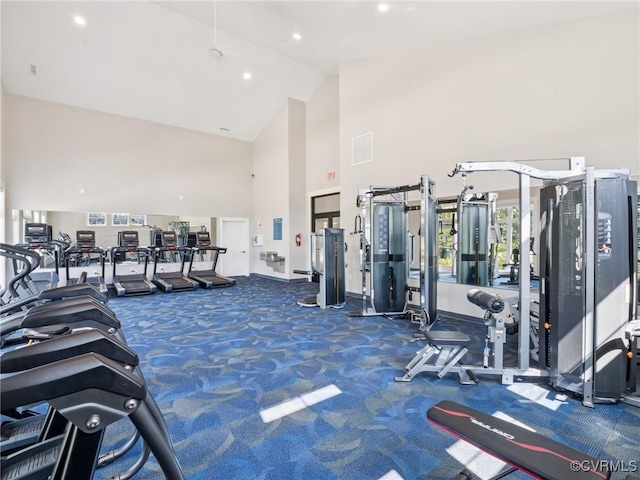 6001 Banyan Ln, Chesterfield, VA 23234 - exercise room with high vaulted ceiling and carpet flooring