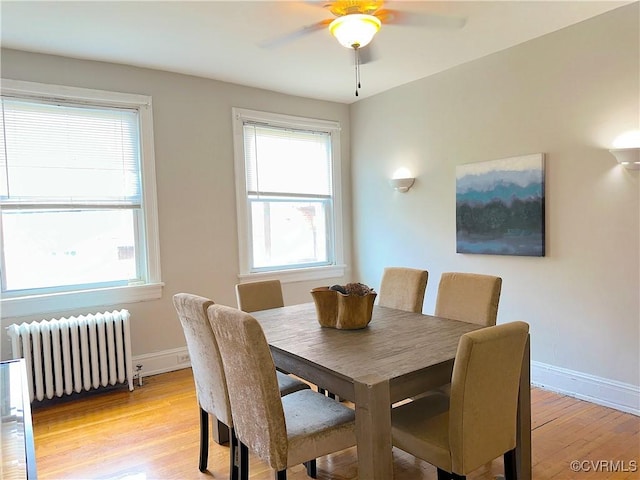 1130 W Grace St, Richmond, VA 23220 - photo 12