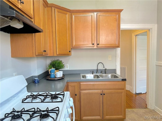 1130 W Grace St, Richmond, VA 23220 - photo 14