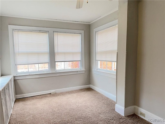 1130 W Grace St, Richmond, VA 23220 - photo 35
