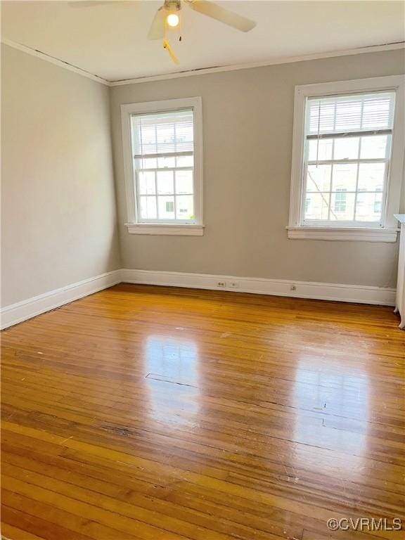 1130 W Grace St, Richmond, VA 23220 - photo 28