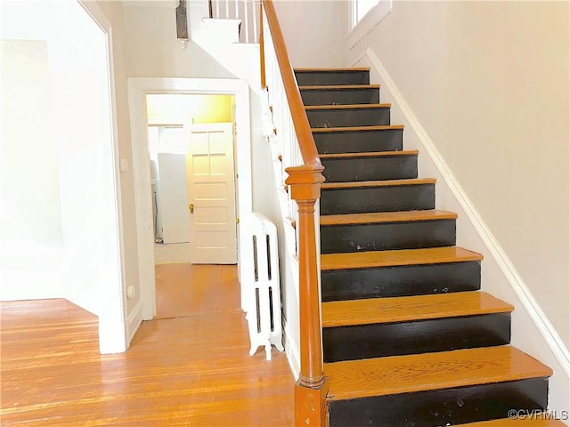 1130 W Grace St, Richmond, VA 23220 - photo 5