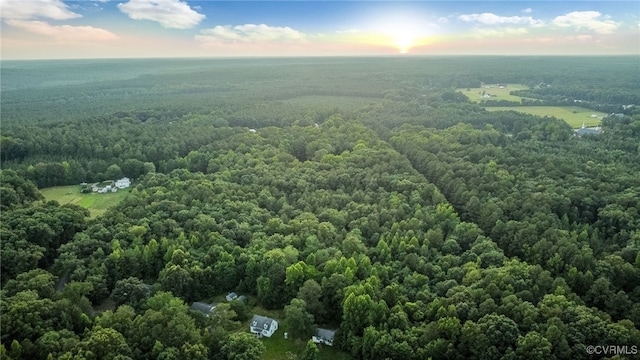 10346 Mount Hope Church Rd, Doswell, VA 23047 - photo 12