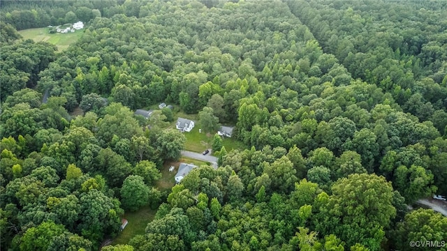 10346 Mount Hope Church Rd, Doswell, VA 23047 - photo 4
