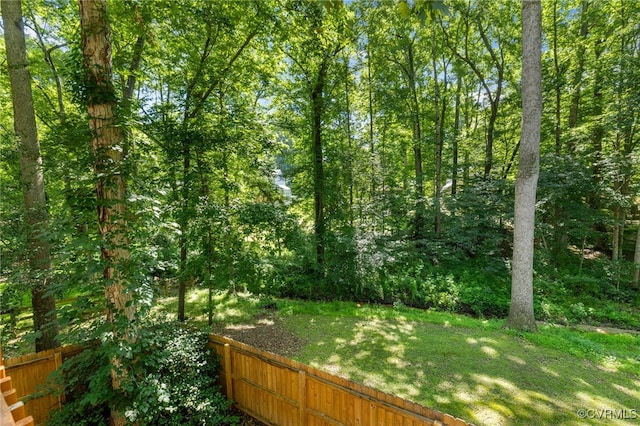 1453 Lockett Ridge Rd, Midlothian, VA 23114 - view of yard