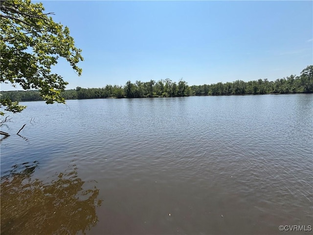 5243 Cedar Ridge Ct, Colonial Heights, VA 23834 - photo 4