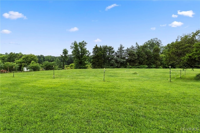3167 Trenholm Rd, Powhatan, VA 23139 - view of green lawn with a view of rural / pastoral area