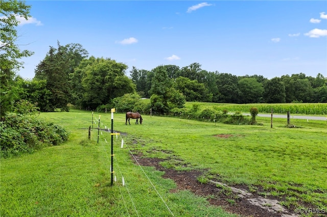 3167 Trenholm Rd, Powhatan, VA 23139 - view of property's community with a view of rural / pastoral area and a lawn
