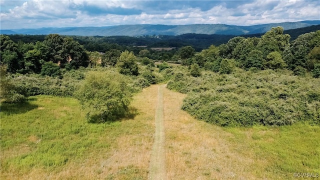 71 Sand Hill Ln, Warm Springs, VA 24484 - photo 45