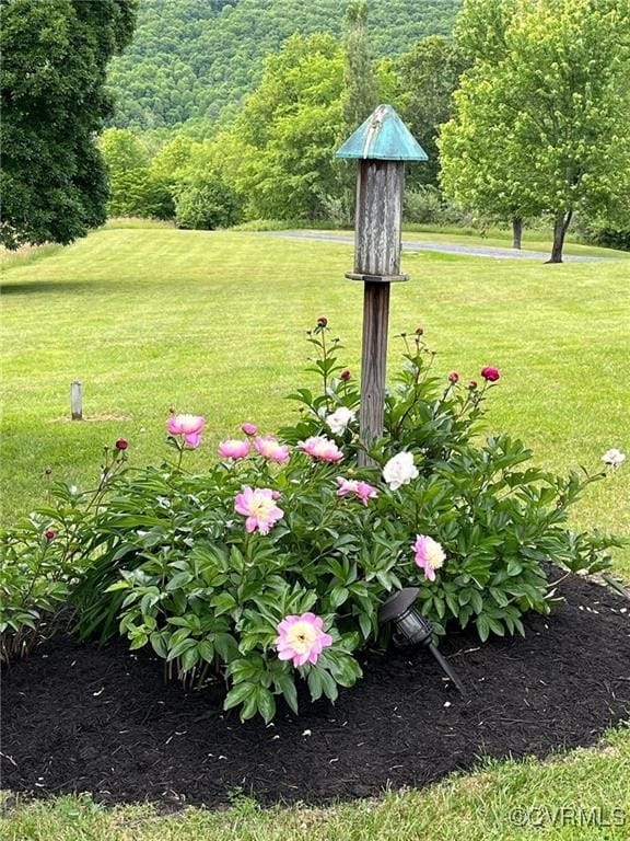 71 Sand Hill Ln, Warm Springs, VA 24484 - photo 40