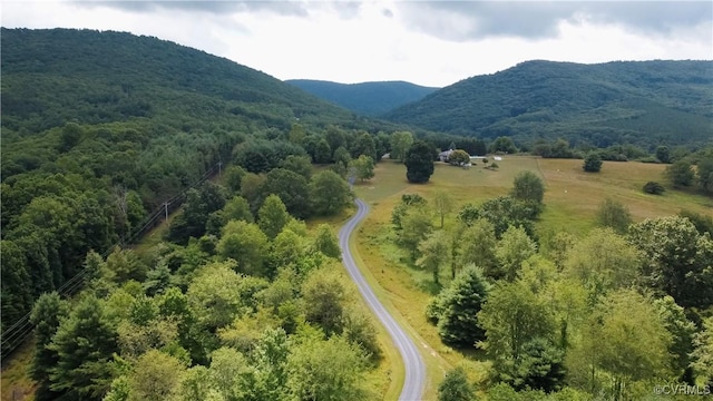 71 Sand Hill Ln, Warm Springs, VA 24484 - photo 46
