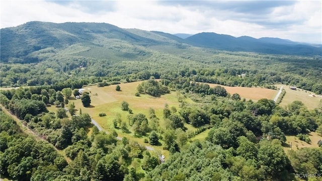 71 Sand Hill Ln, Warm Springs, VA 24484 - photo 47