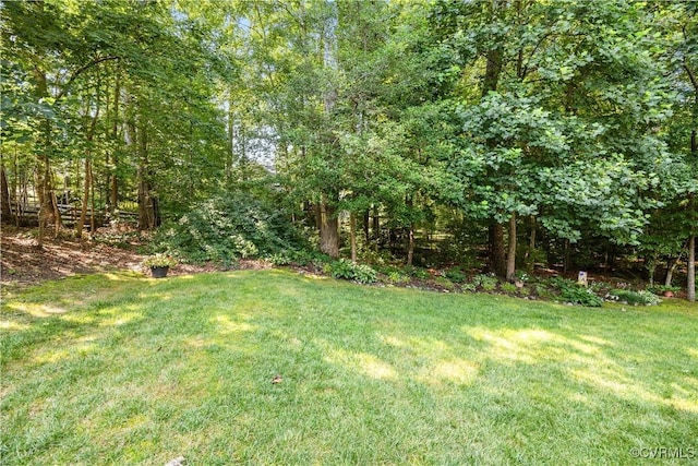 8811 S Boones Trail Rd, North Chesterfield, VA 23236 - view of grassy yard