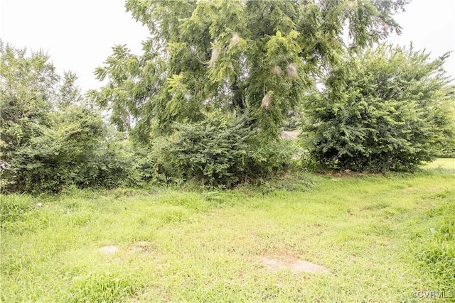 25613 Brunswick Ave, Dinwiddie, VA 23803 - photo 23