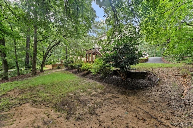 6003 Lansgate Rd, Midlothian, VA 23112 - view of yard