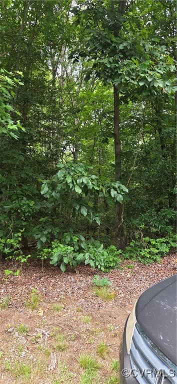 1712 N Airport Dr, Highland Springs, VA 23075 - photo 4