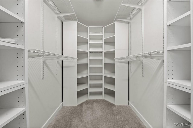 13219 Lauren Ln, Midlothian, VA 23114 - spacious closet with carpet flooring