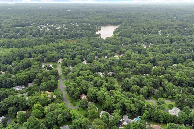 13219 Lauren Ln, Midlothian, VA 23114 - bird's eye view of a forest and a large body of water