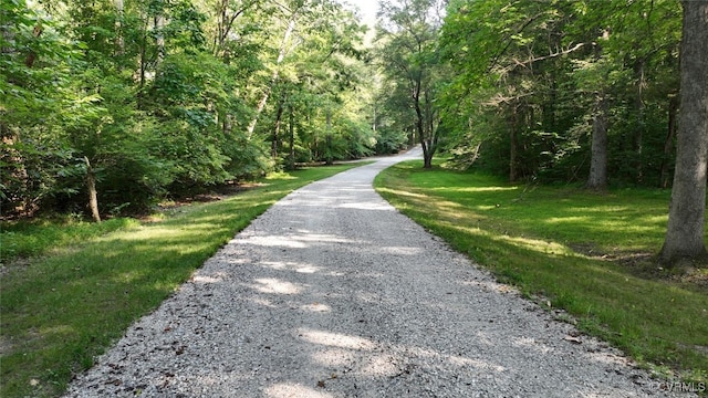 02 Strawberry Run, Crozier, VA 23039