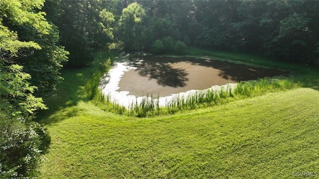 02 Strawberry Run, Crozier, VA 23039