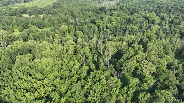 02 Strawberry Run, Crozier, VA 23039