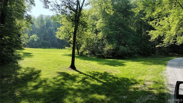 03 Strawberry Run, Crozier, VA 23039