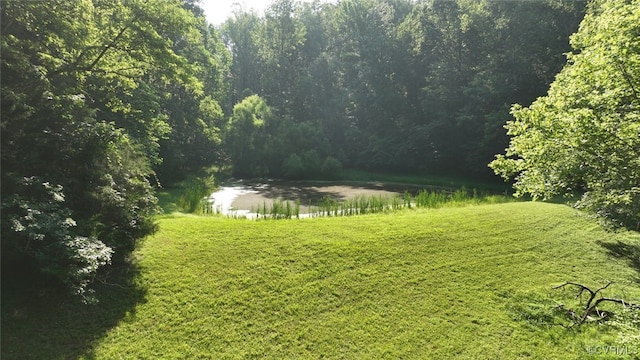 03 Strawberry Run, Crozier, VA 23039