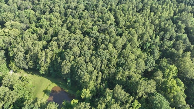 03 Strawberry Run, Crozier, VA 23039