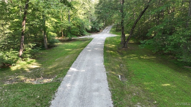 03 Strawberry Run, Crozier, VA 23039