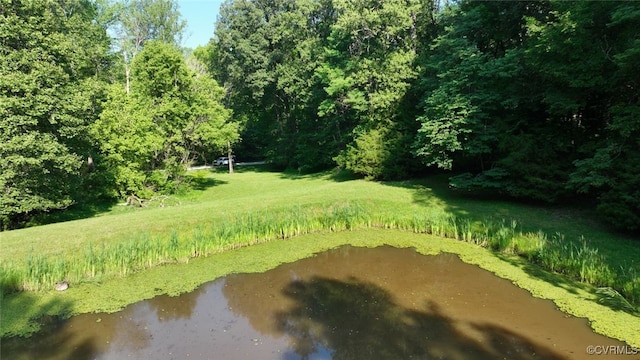 03 Strawberry Run, Crozier, VA 23039
