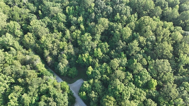 03 Strawberry Run, Crozier, VA 23039
