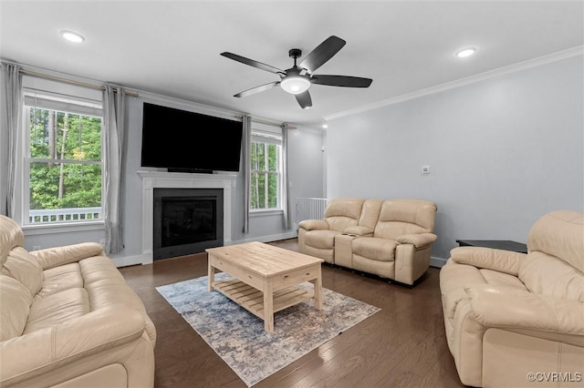 18007 Twin Falls Ln, Moseley, VA 23120 - living room with crown molding, a ceiling fan, a glass covered fireplace, recessed lighting, and dark wood-type flooring