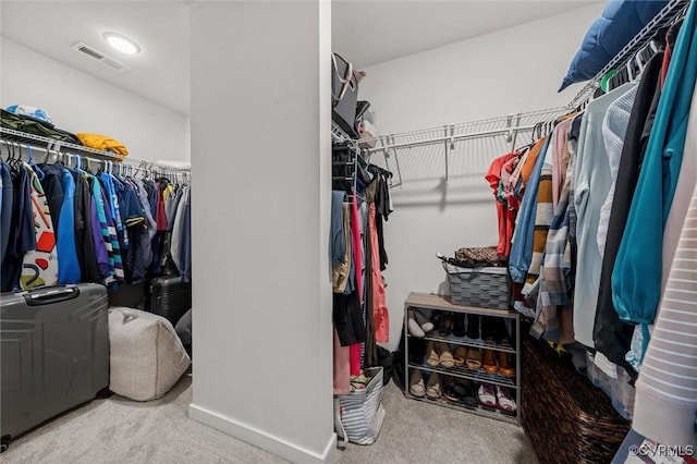18007 Twin Falls Ln, Moseley, VA 23120 - spacious closet featuring carpet floors