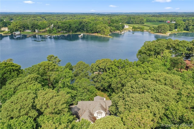 226 Crowder Point Dr, Reedville, VA 22539 - photo 47