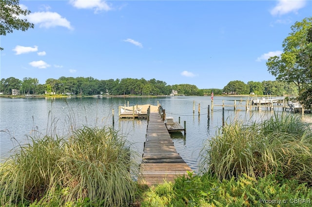 226 Crowder Point Dr, Reedville, VA 22539 - photo 2