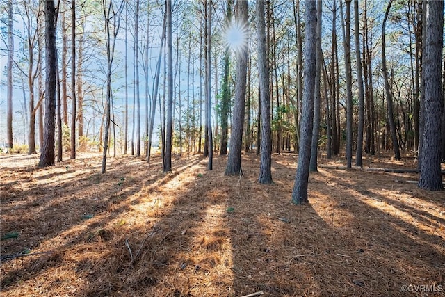 TBD Old Quarter Ln, New Kent, VA 23124 - photo 2
