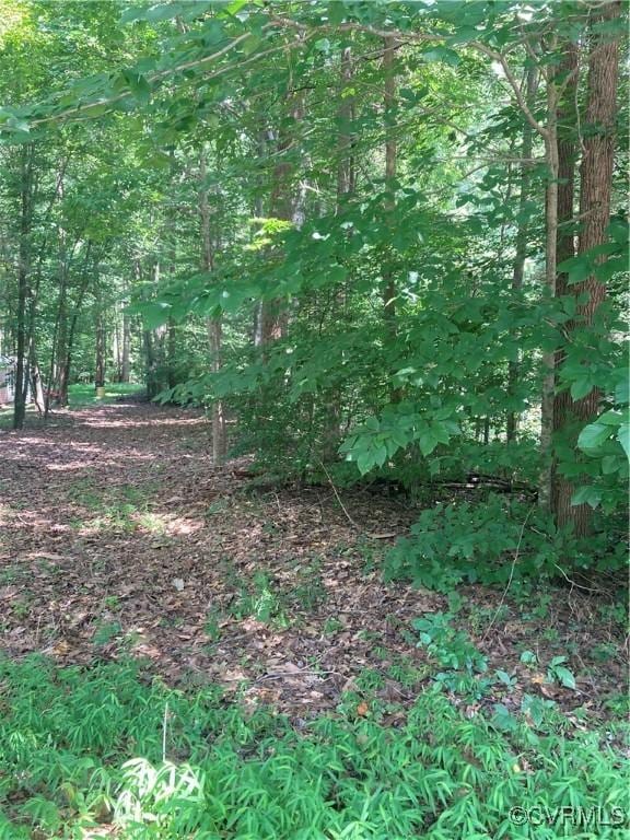 TBD Old Quarter Ln, New Kent, VA 23124 - photo 5